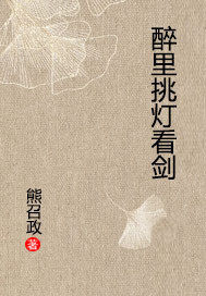 醉里挑灯看剑》全本