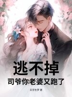 逃不掉！司爷你老婆又跑了